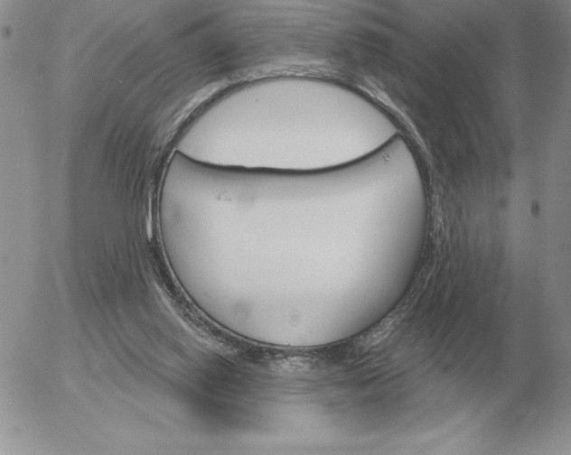 X0000052980062200507221338