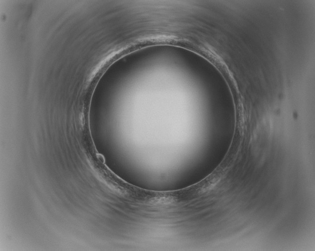 X0000052980063200507221338