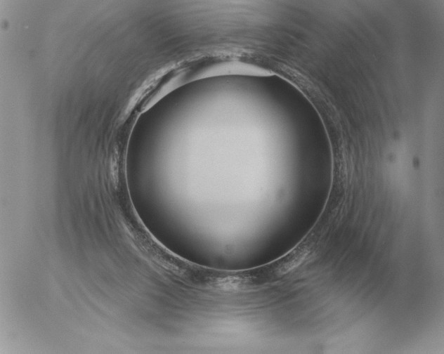 X0000052980064200507221338