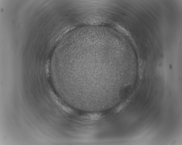 X0000052980065200507221338