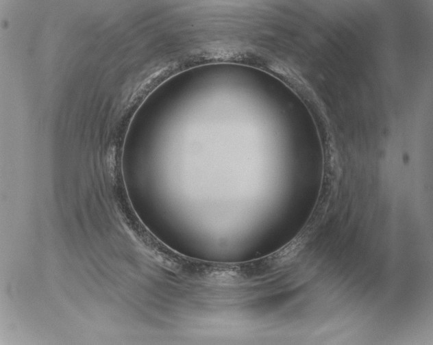 X0000052980066200507221338