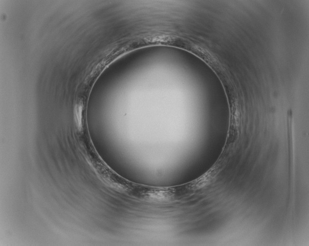 X0000052980070200507221338