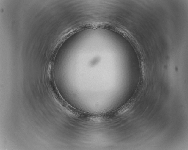 X0000052980071200507221338