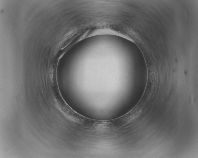 X0000052980072200507221338