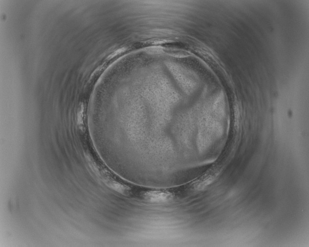 X0000052980073200507221338