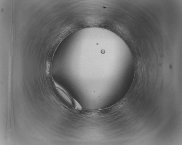 X0000052980075200507221338