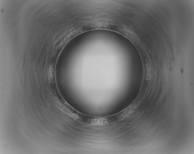 X0000052980077200507221338