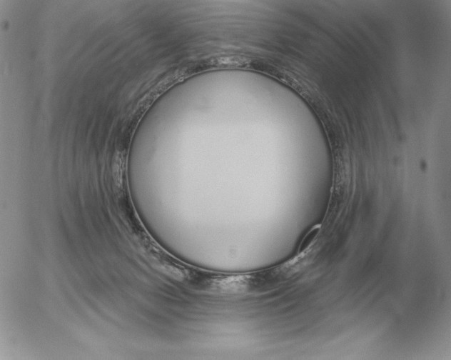 X0000052980078200507221338