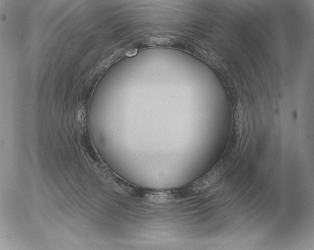 X0000052980079200507221338