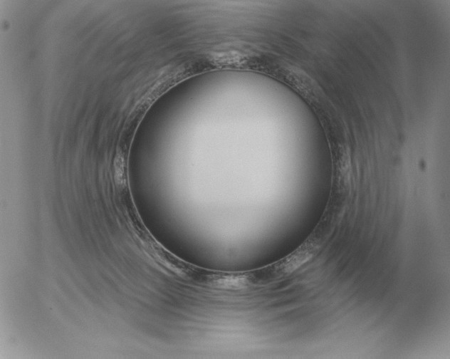 X0000052980081200507221338