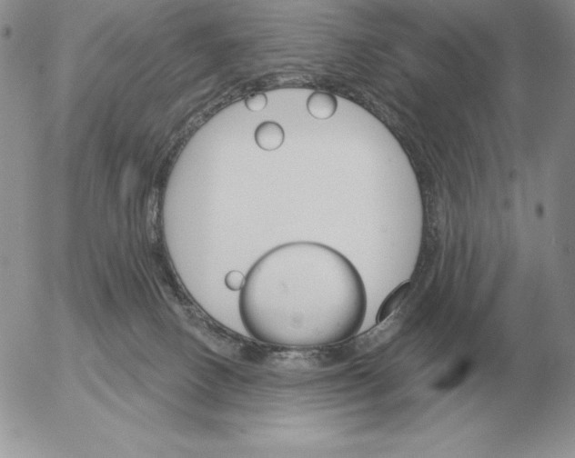 X0000052980082200507221338