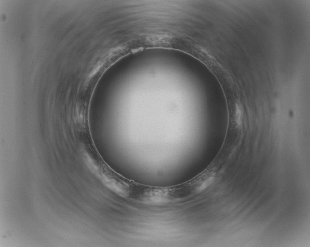 X0000052980084200507221338