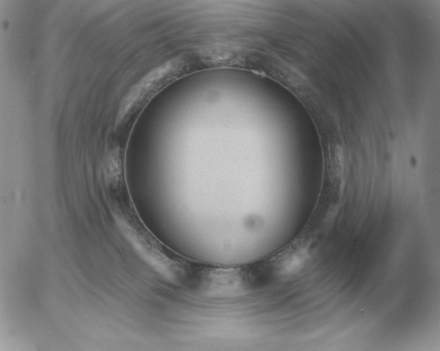 X0000052980085200507221338