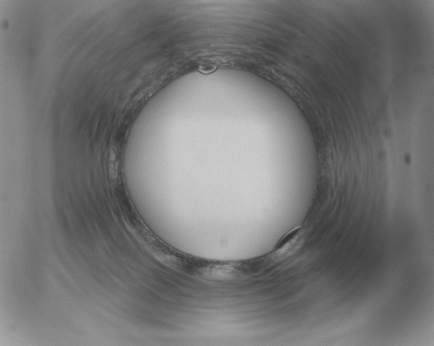 X0000052980086200507221338