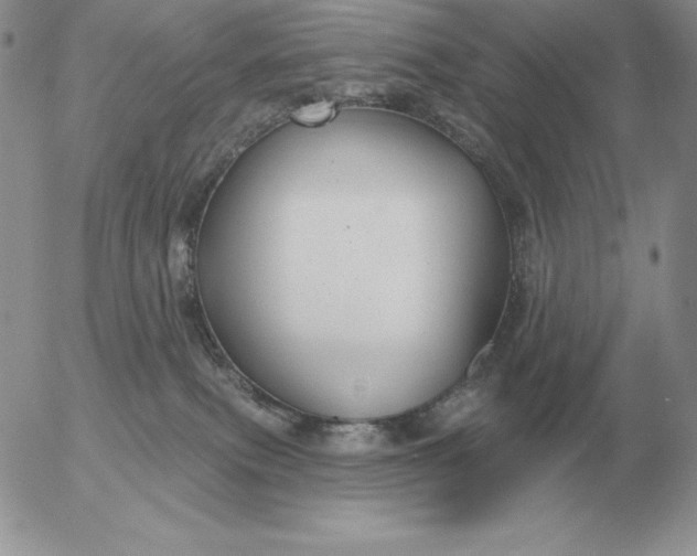 X0000052980087200507221338