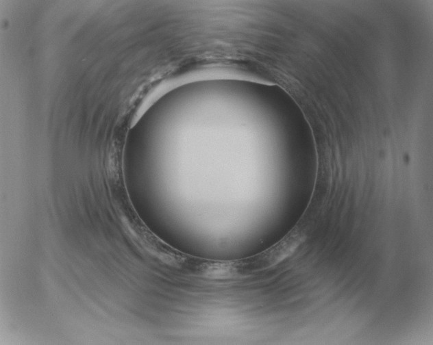 X0000052980088200507221338