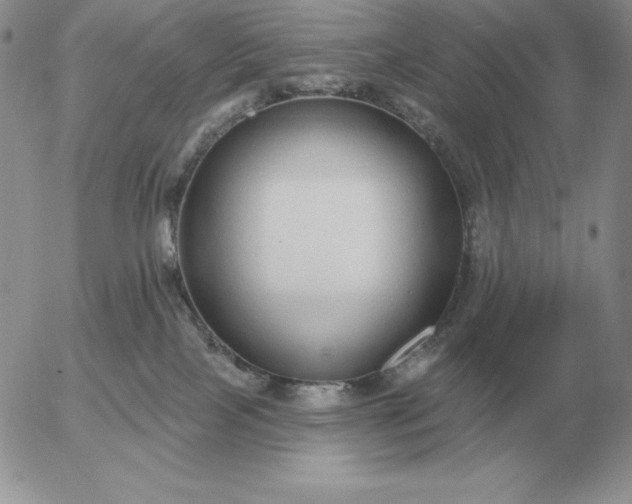 X0000052980089200507221338