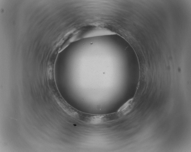 X0000052980090200507221338