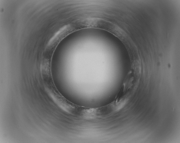 X0000052980092200507221338