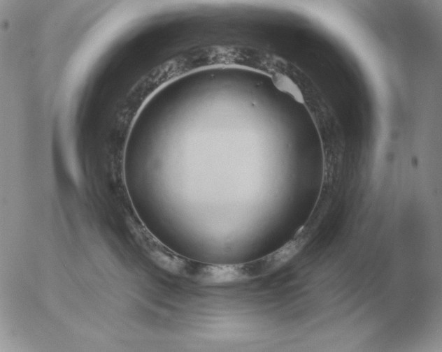 X0000052980093200507221338