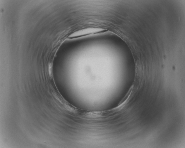 X0000052980094200507221338