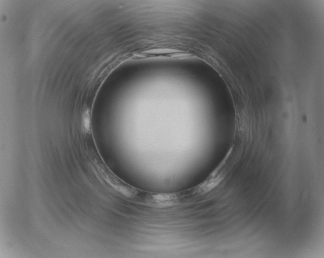 X0000052980095200507221338