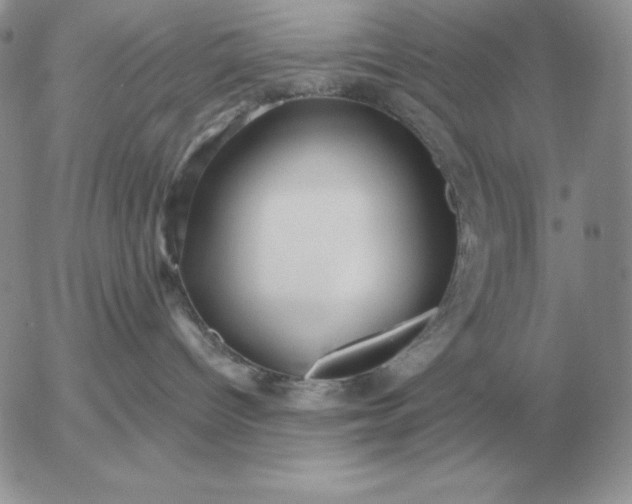 X0000052980096200507221338