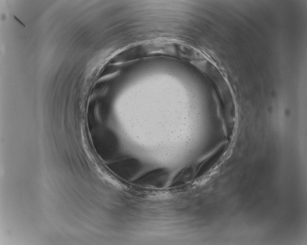 X0000052980097200507221338