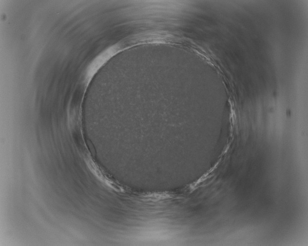 X0000052980099200507221338