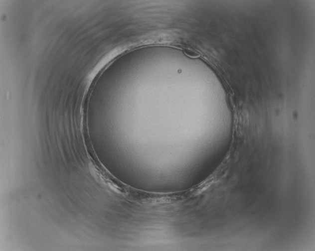 X0000052980100200507221338