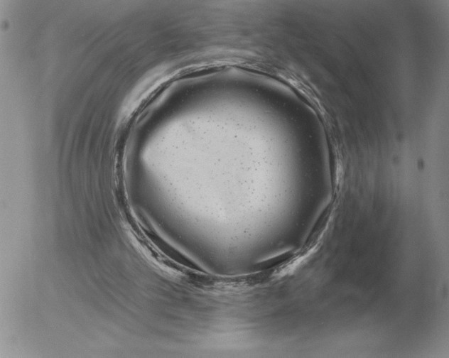 X0000052980101200507221338