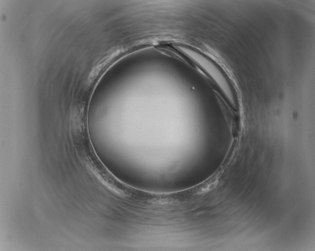 X0000052980105200507221337