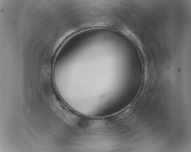 X0000052980107200507221337