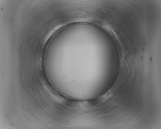 X0000052980108200507221337