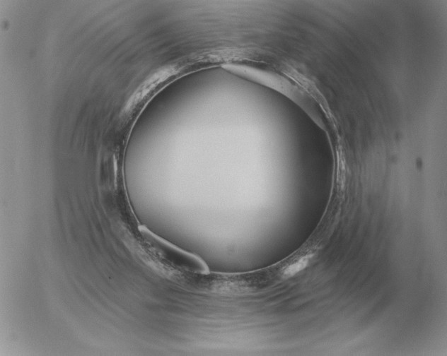 X0000052980109200507221337