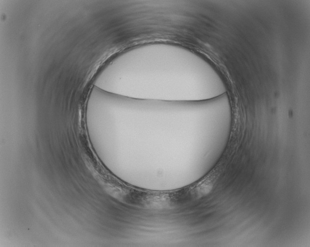 X0000052980110200507221337