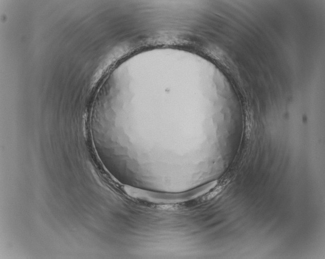 X0000052980111200507221337