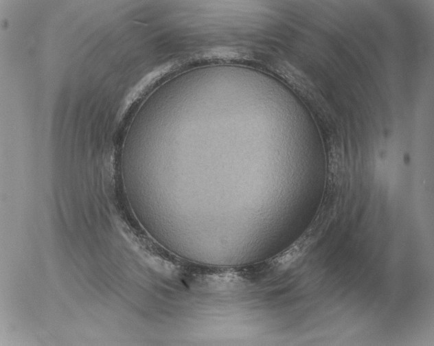 X0000052980112200507221337