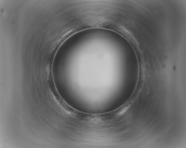 X0000052980113200507221337