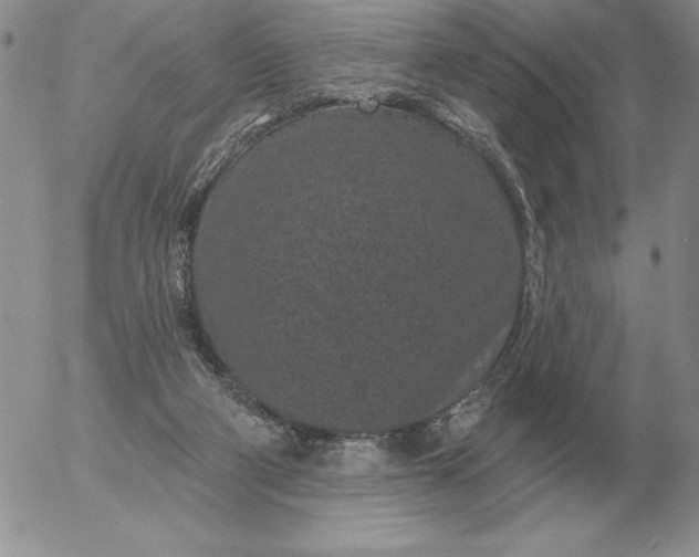 X0000052980114200507221337