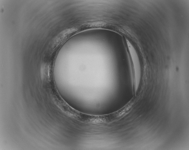 X0000052980115200507221337