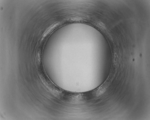 X0000052980116200507221337