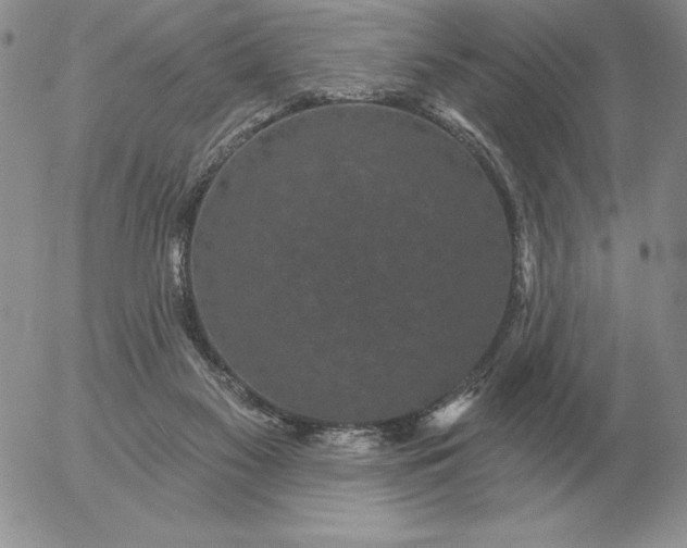 X0000052980117200507221337