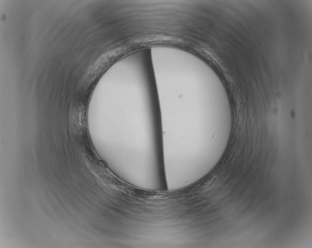 X0000052980119200507221337