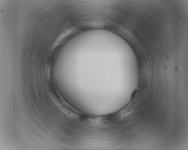 X0000052980120200507221337