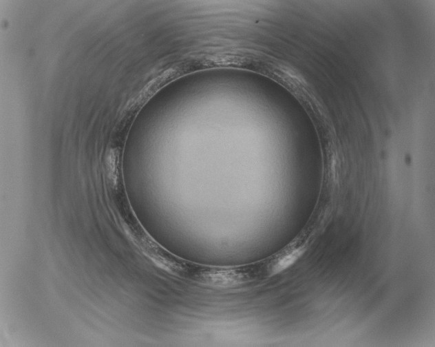 X0000052980121200507221337