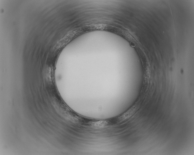 X0000052980122200507221337