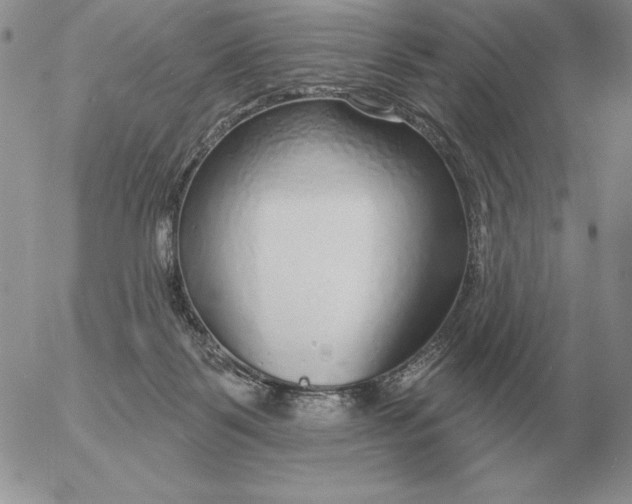 X0000052980123200507221337