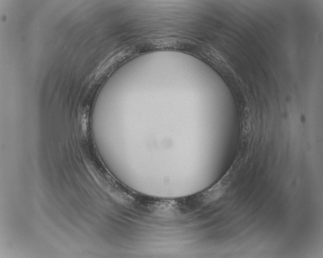 X0000052980124200507221337