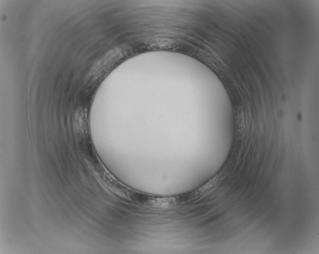 X0000052980126200507221337